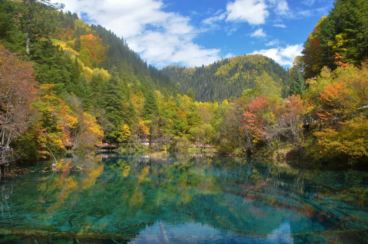 世界遺產九寨溝黃龍8日